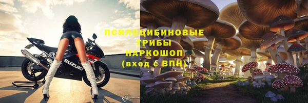 2c-b Белокуриха