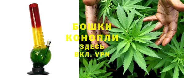 2c-b Белокуриха
